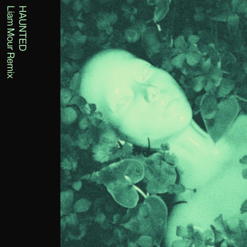 HAUNTED (Liam Mour Remix) - Mild Minds