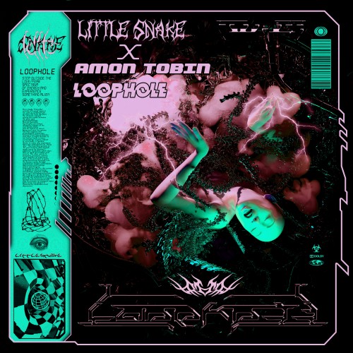Loophole - Little Snake and Amon Tobin
