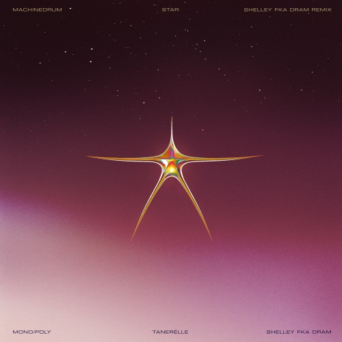 Star (Shelley FKA DRAM Remix) - Machinedrum